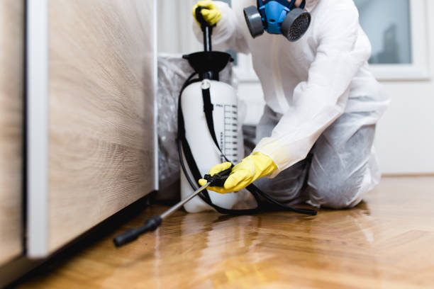 Best Rat Extermination Near Me  in Clinton, AR