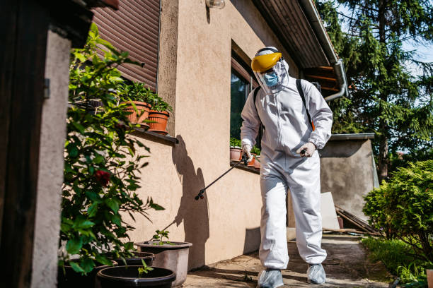 Best Rodent Control Near Me  in Clinton, AR
