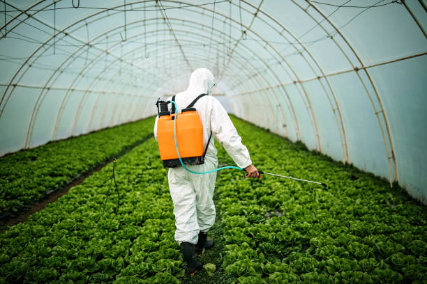 Reliable Clinton, AR Pest Control Solutions