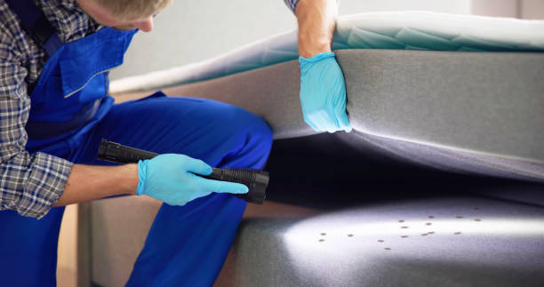Best Termite Control Services  in Clinton, AR