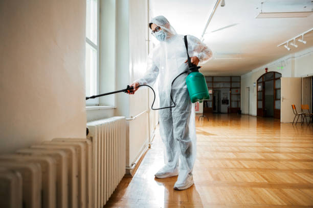 Best Mosquito Control Services  in Clinton, AR